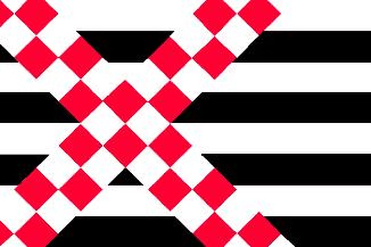 Loosdrechtse Vlag: Jouw Symbool van Trots! 🚩