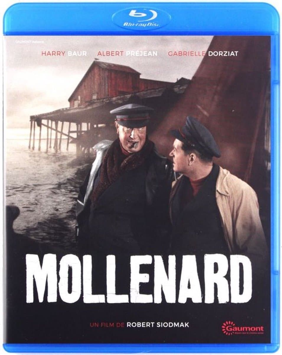 Your Journey with Kapitein Mollenard Begins!